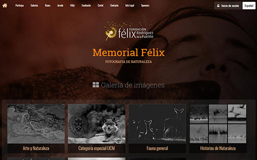 Memorial felix - pixall